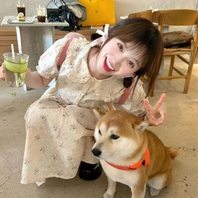 热与尘